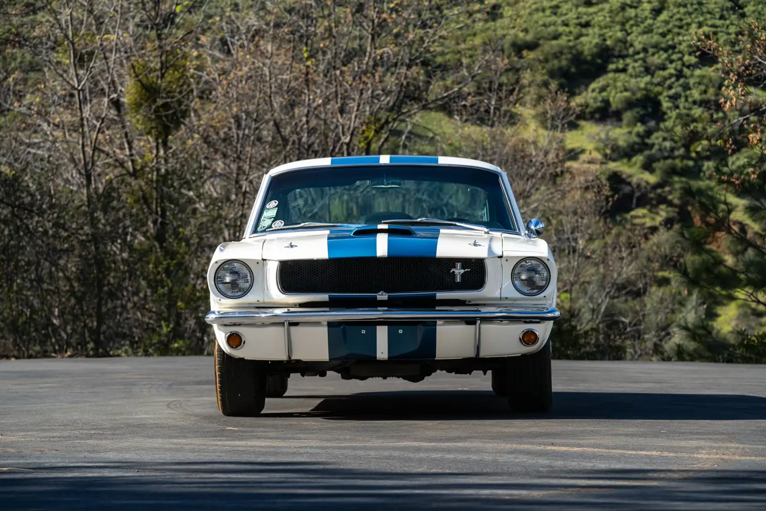 1965 Shelby GT350 Fastback