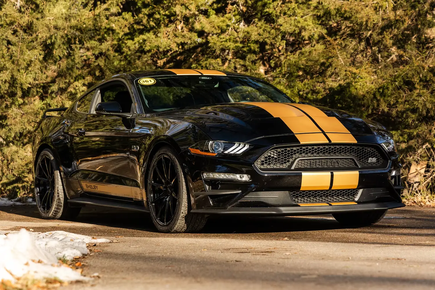 2022 Ford Shelby GT-H 2022 Ford Shelby GT-H