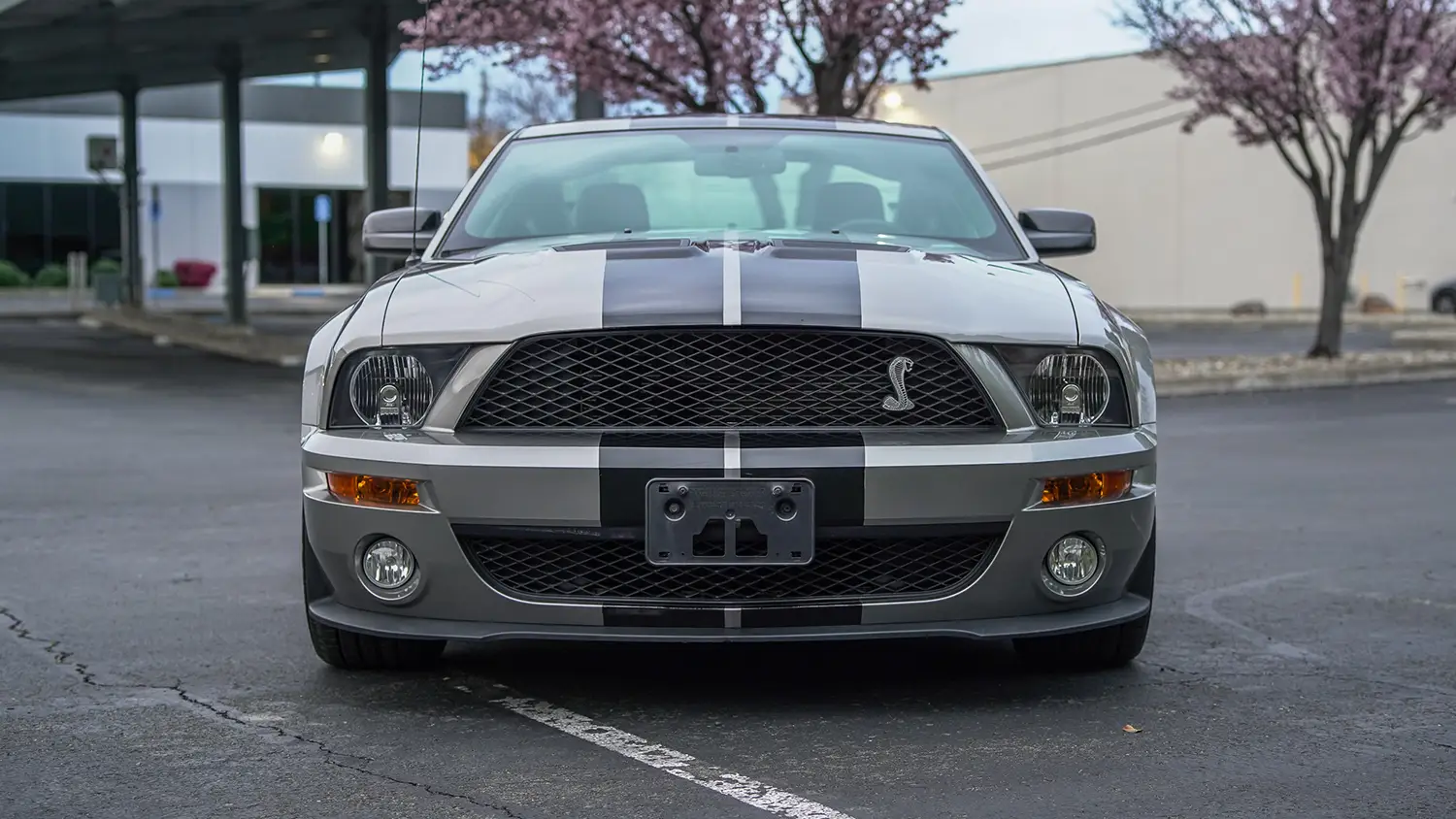 2008 Ford Mustang Shelby GT500