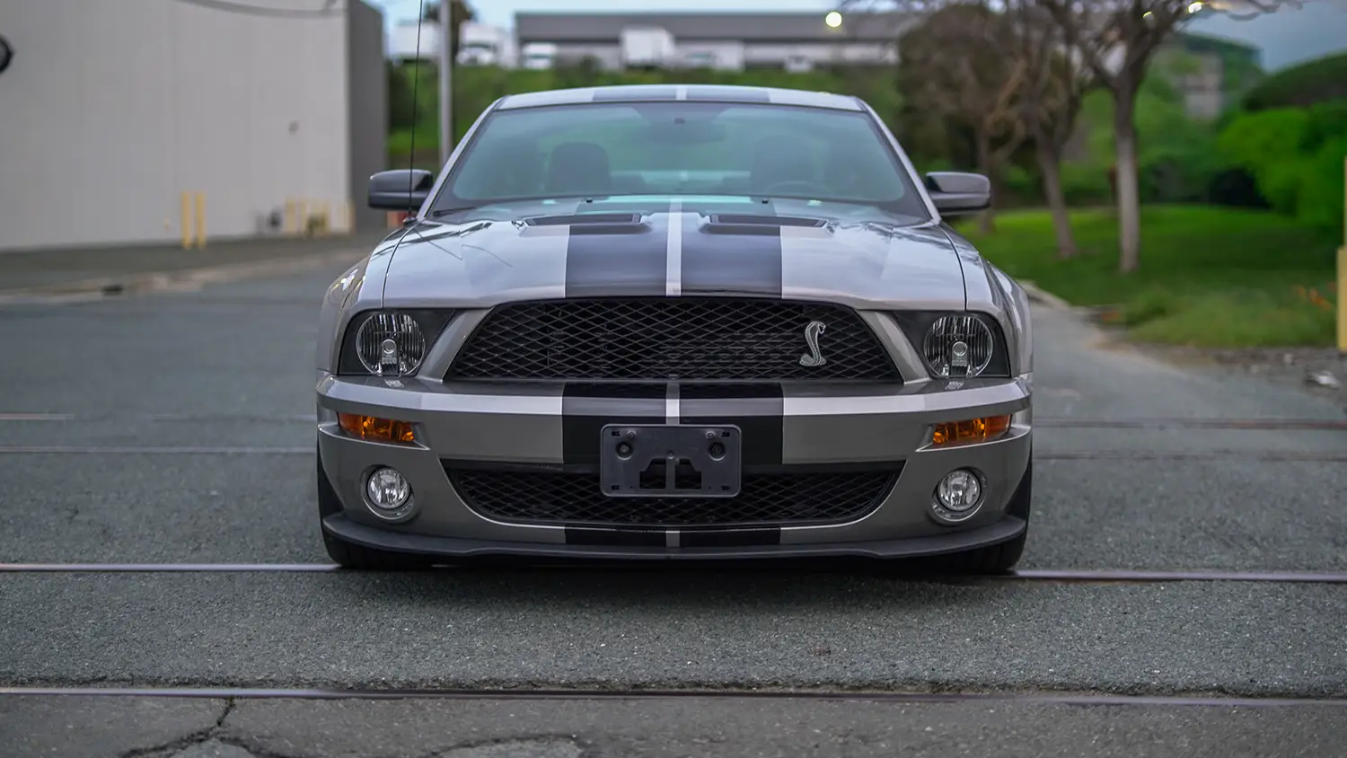 2008 Ford Mustang Shelby GT500