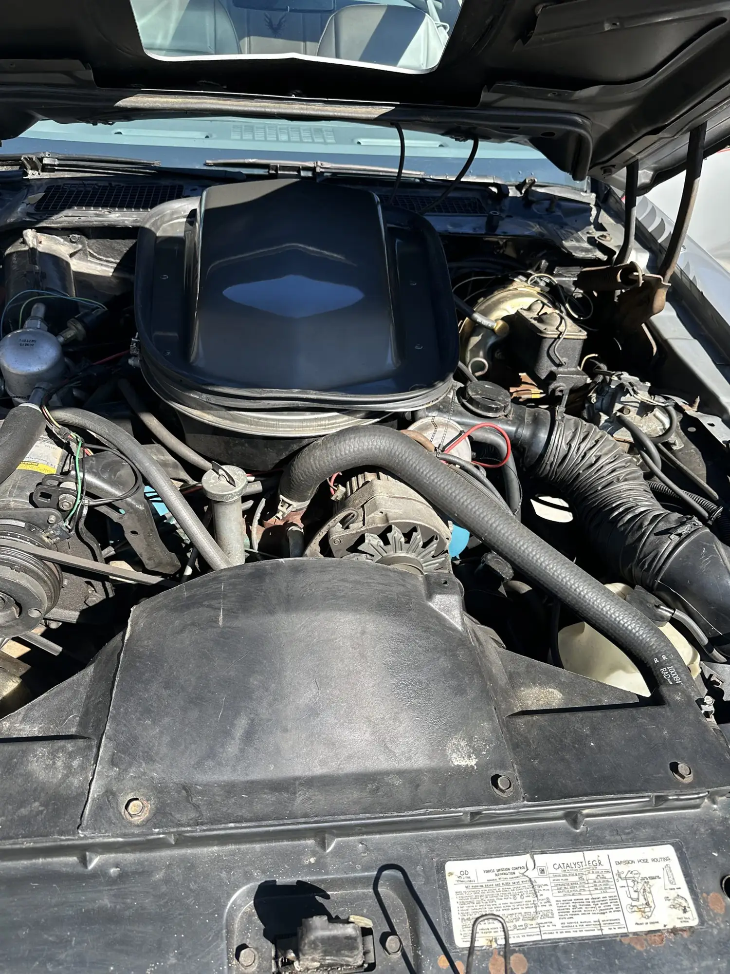 1979 Pontiac Firebird Trans Am 1979 Pontiac Firebird Trans Am