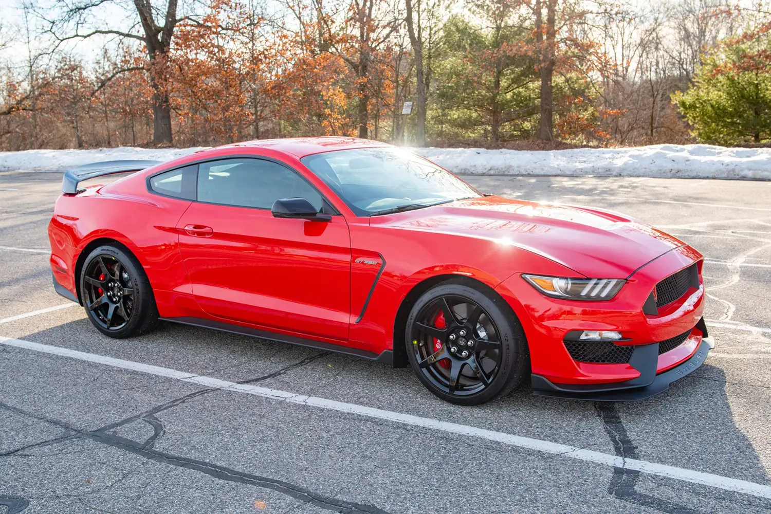 2020 Ford Mustang Shelby GT350R 2020 Ford Mustang Shelby GT350R