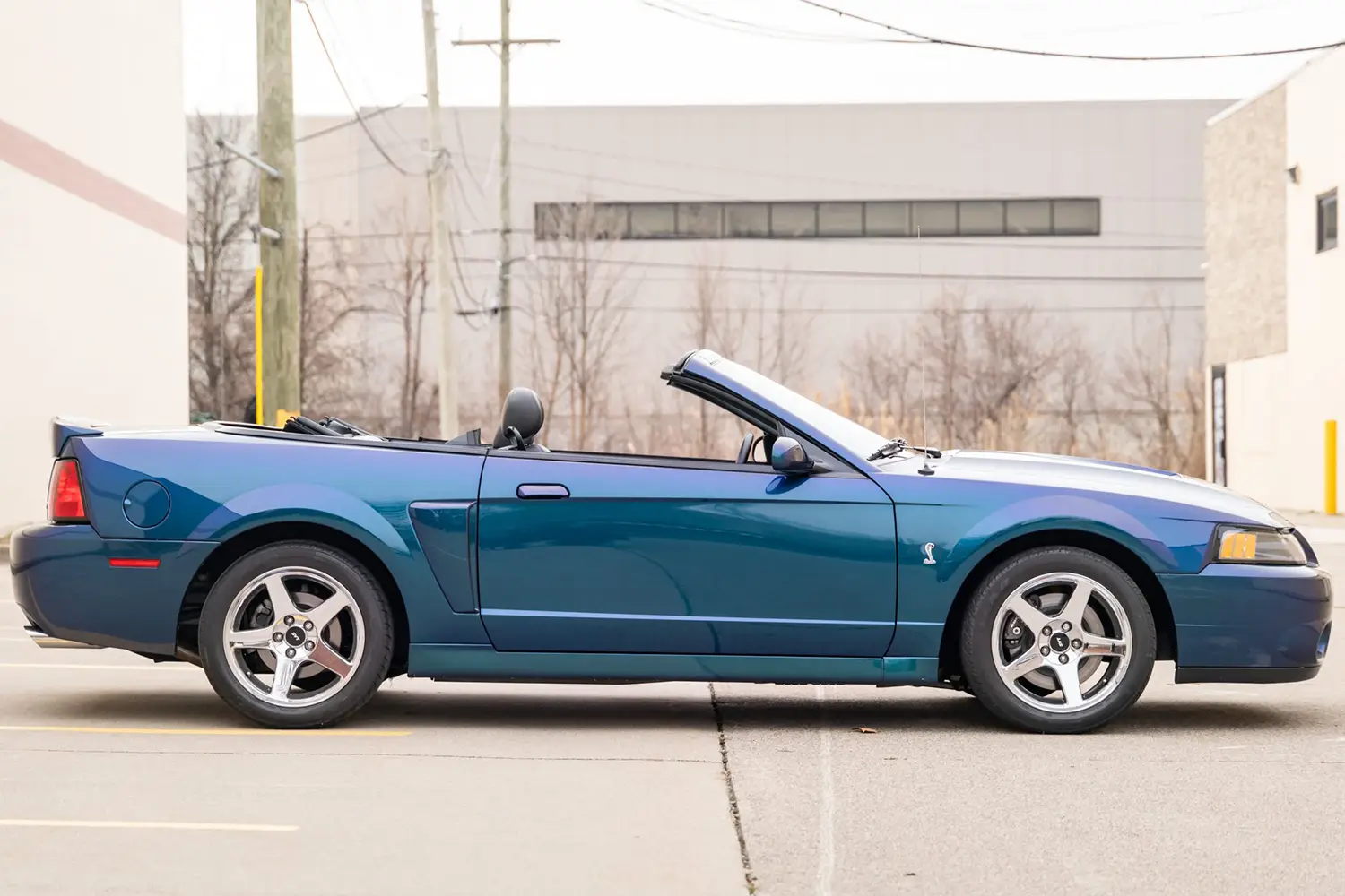2004 Ford Mustang SVT Cobra convertible