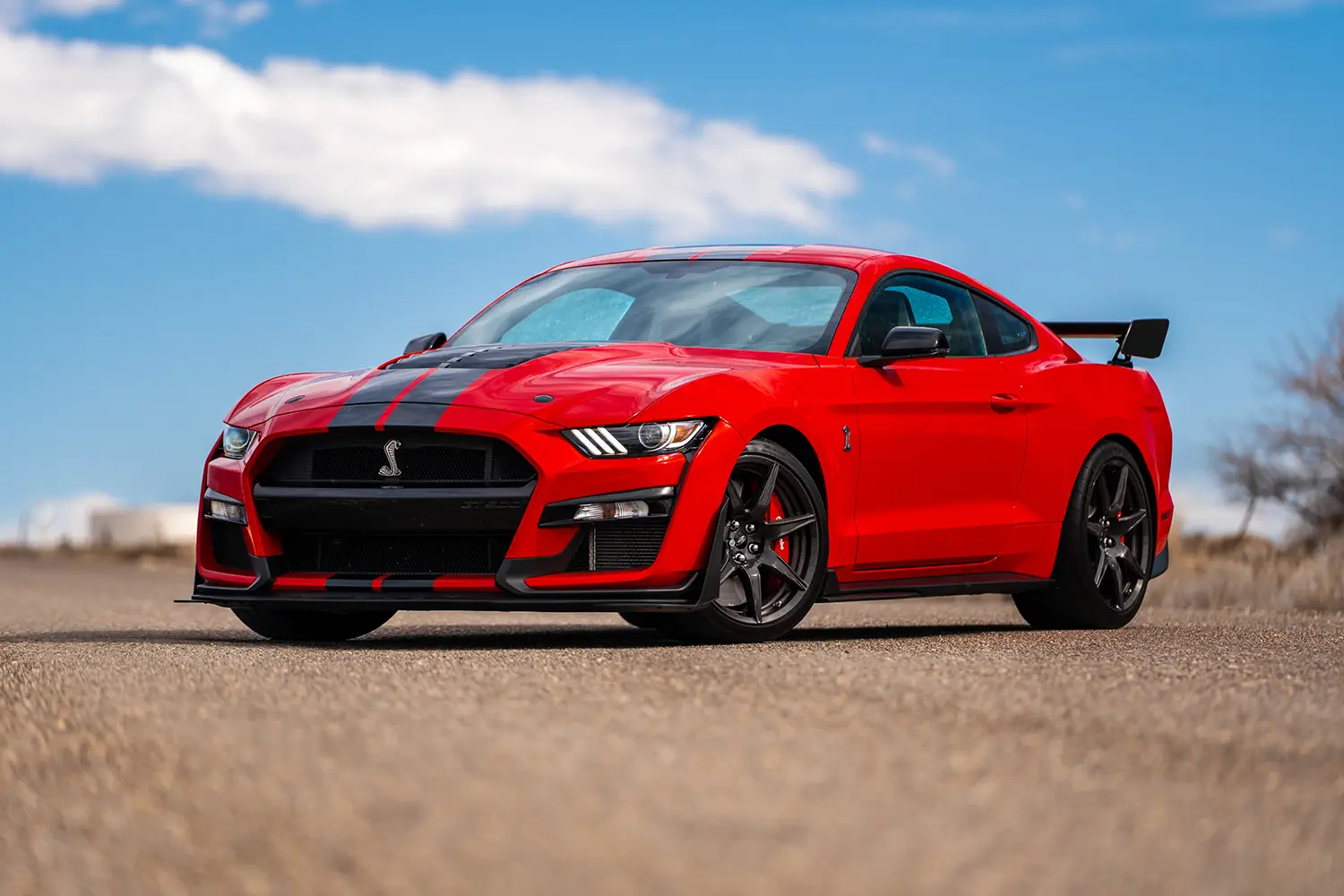 2022 Ford Mustang Shelby GT500