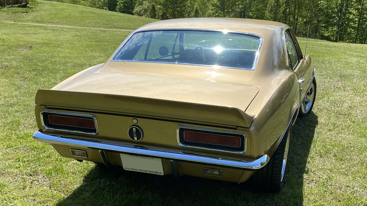 1967 Chevrolet Camaro RS