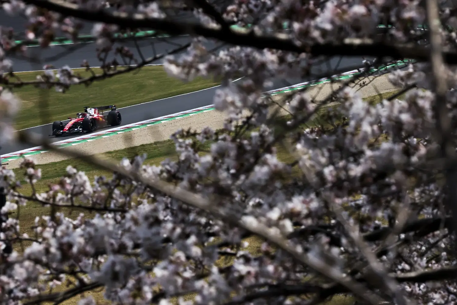 F1 - Japanese GP - Qualification Results F1 - Japanese GP - Qualification Results