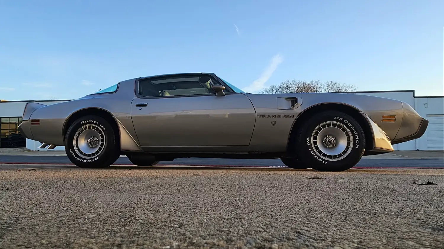 1979 Pontiac Trans Am SE 10th Anniversary
