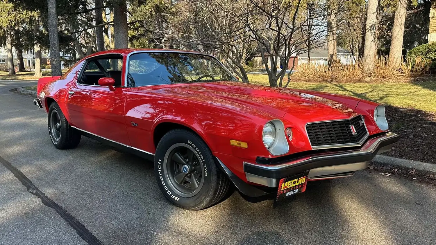 1974 Chevrolet Camaro Type LT