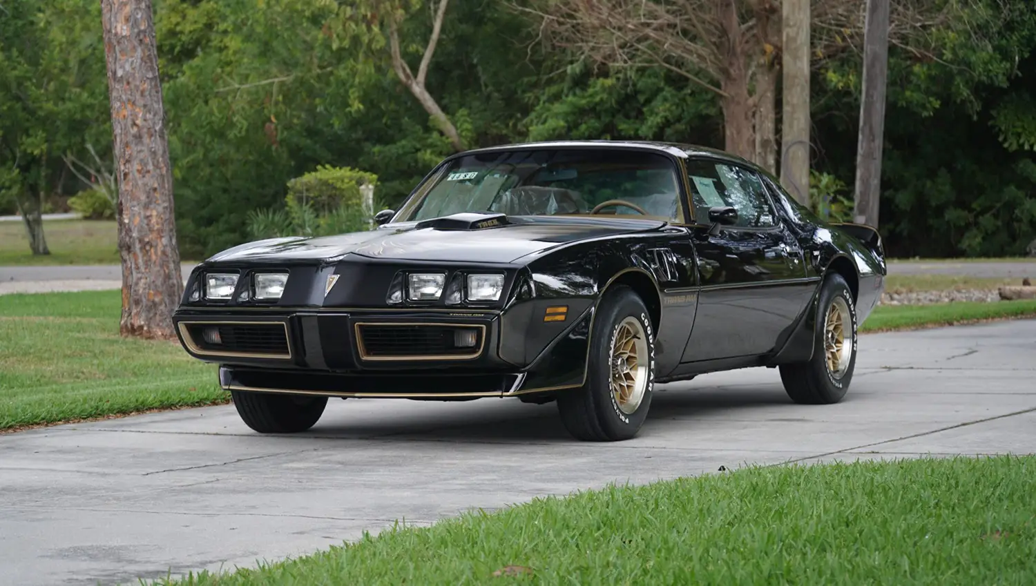 1979 Pontiac Firebird Trans Am Special Edition 1979 Pontiac Firebird Trans Am Special Edition