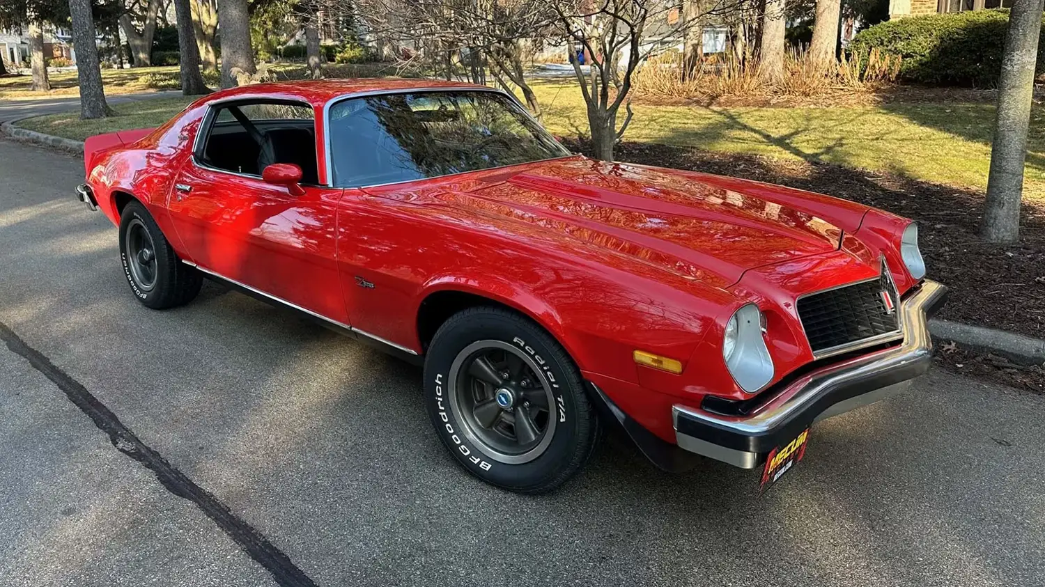 1974 Chevrolet Camaro Type LT