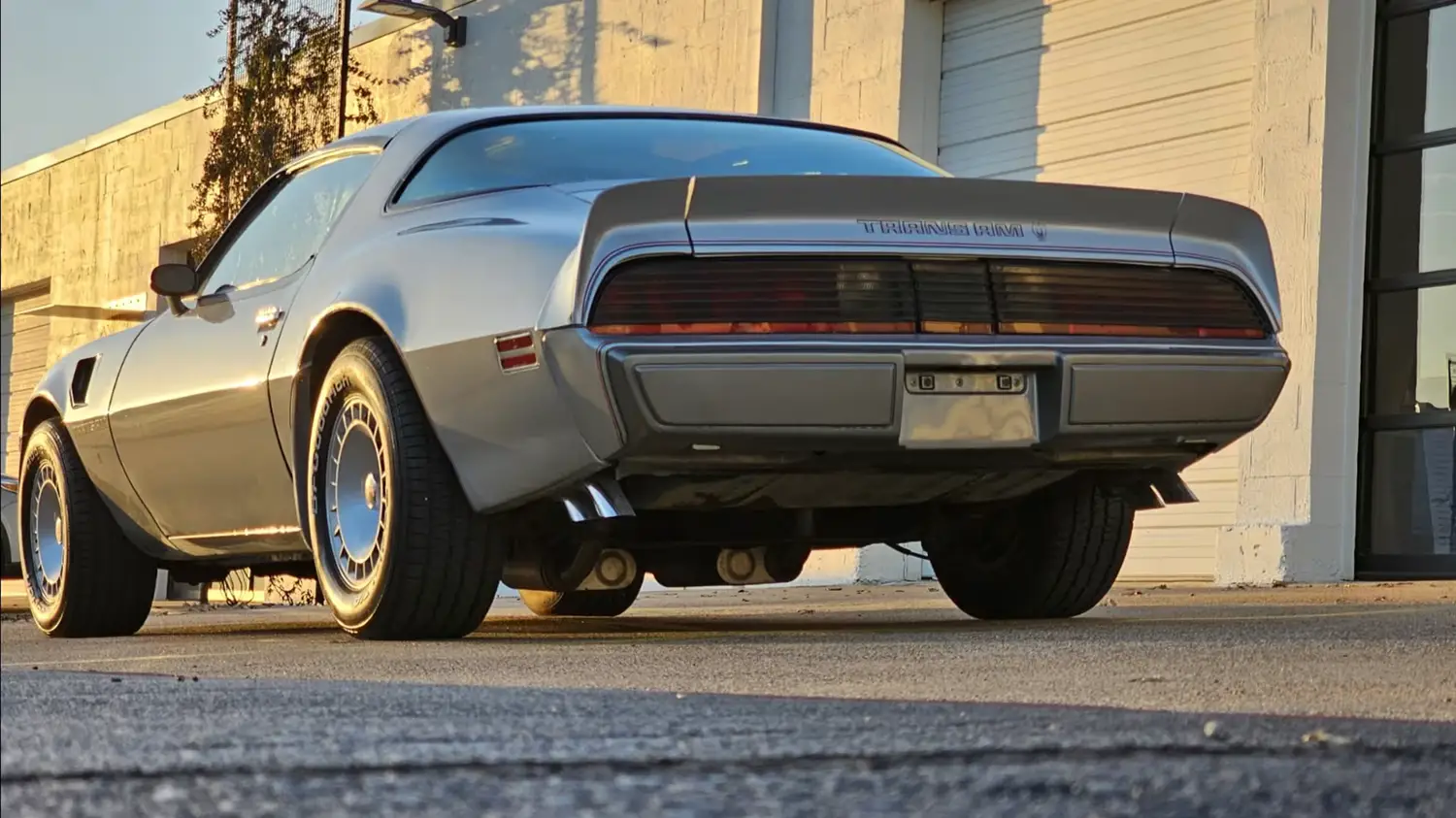1979 Pontiac Trans Am SE 10th Anniversary