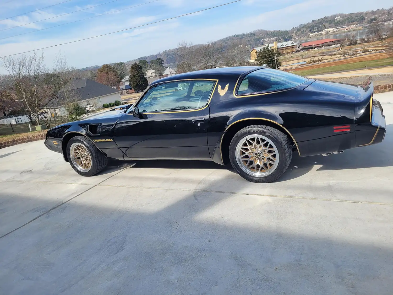 1979 Pontiac Firebird Trans Am 6.2L