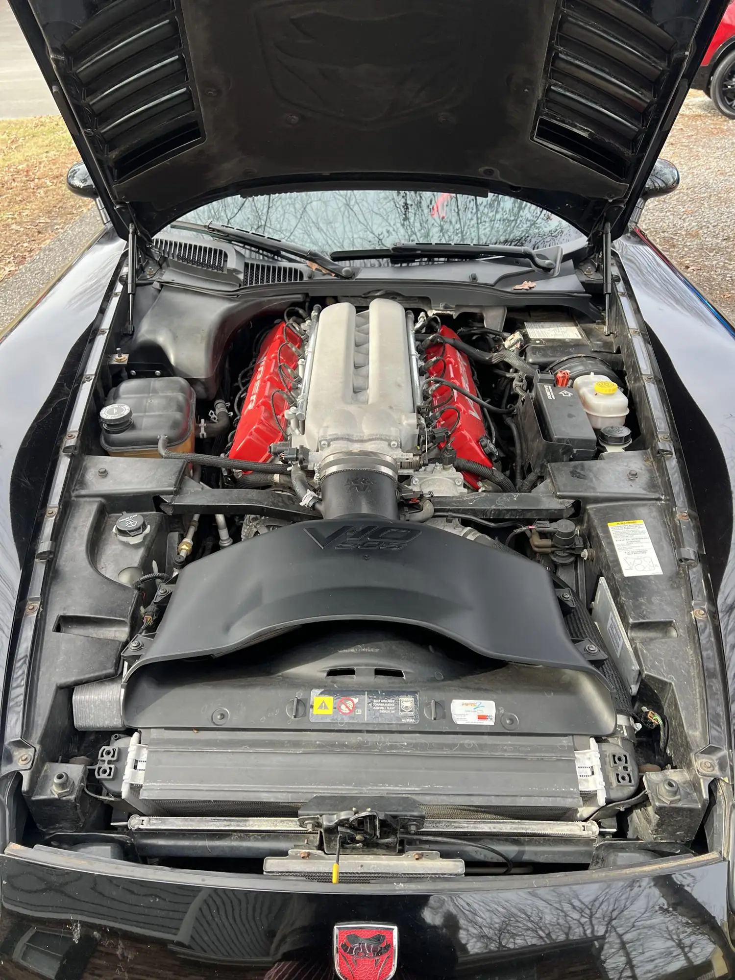 2004 Dodge Viper SRT-10 Mamba Edition