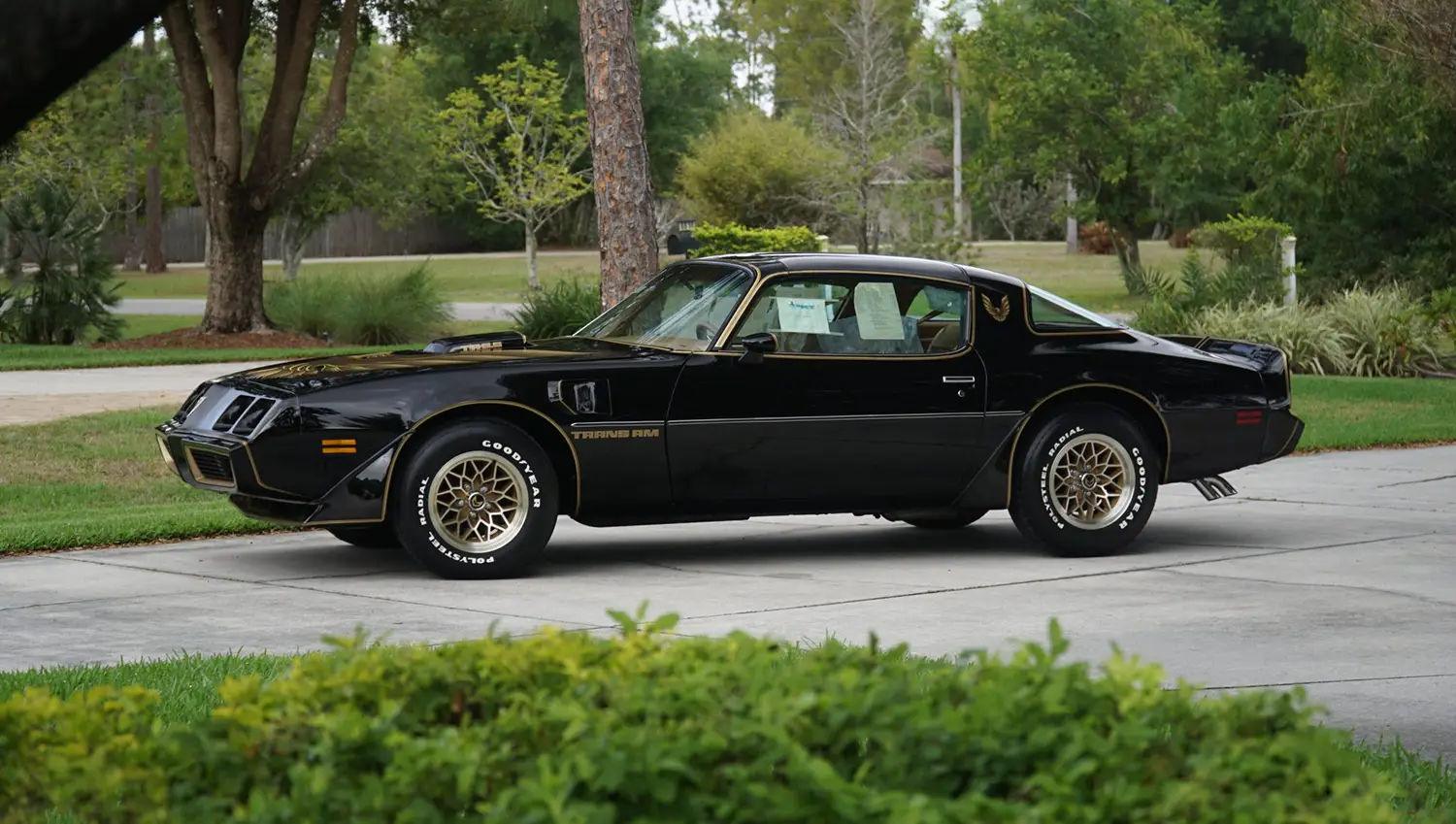 1979 Pontiac Firebird Trans Am Special Edition 1979 Pontiac Firebird Trans Am Special Edition