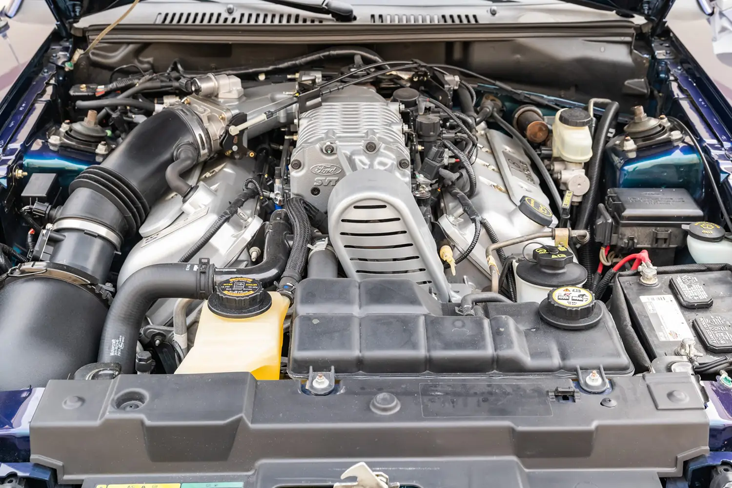 2004 Ford Mustang SVT Cobra convertible