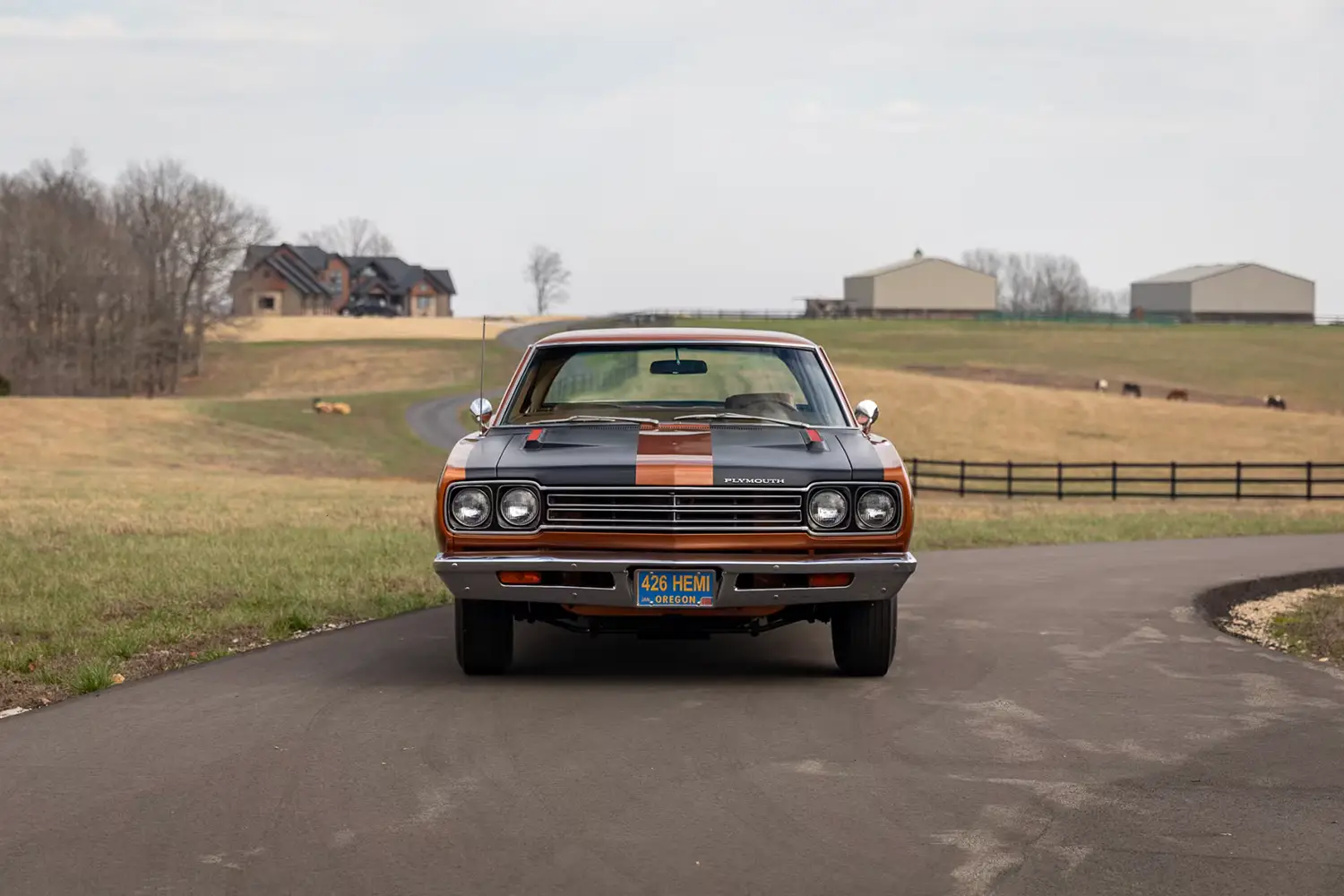 1969 Plymouth Hemi Road Runner