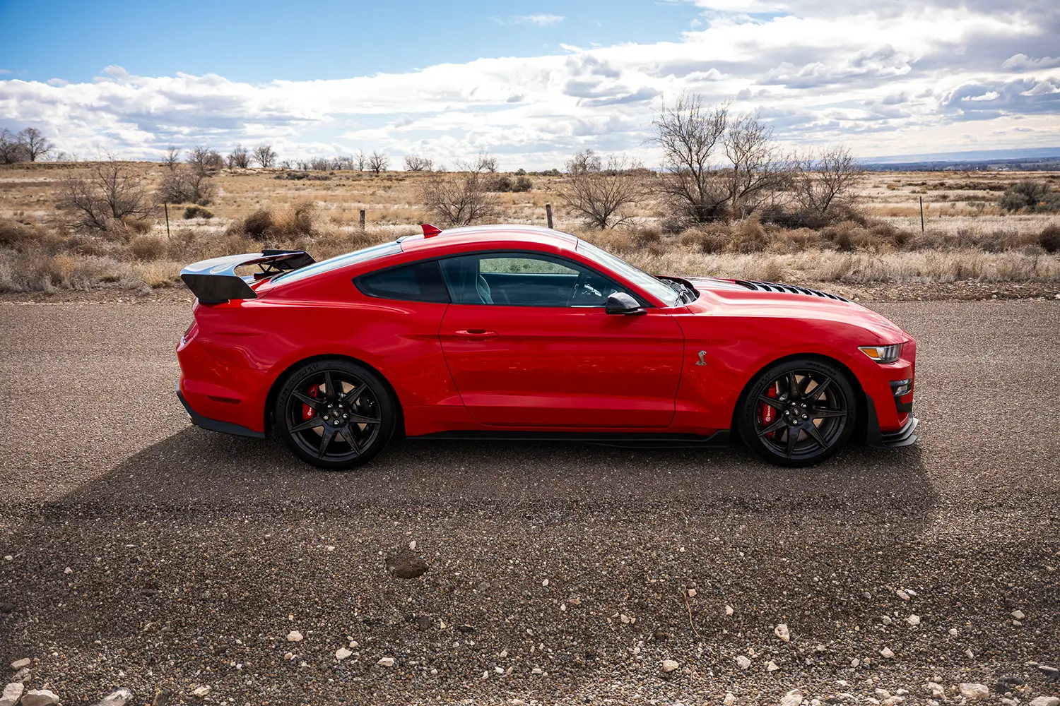 2022 Ford Mustang Shelby GT500