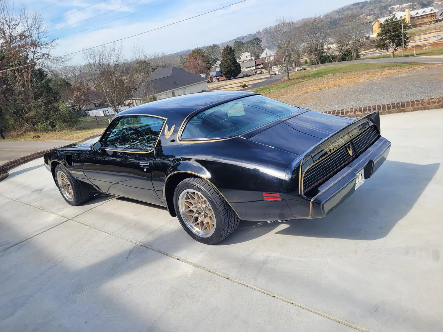 1979 Pontiac Firebird Trans Am 6.2L