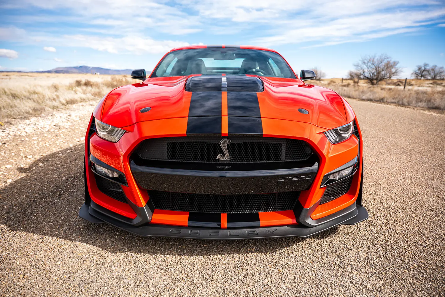 2022 Ford Mustang Shelby GT500