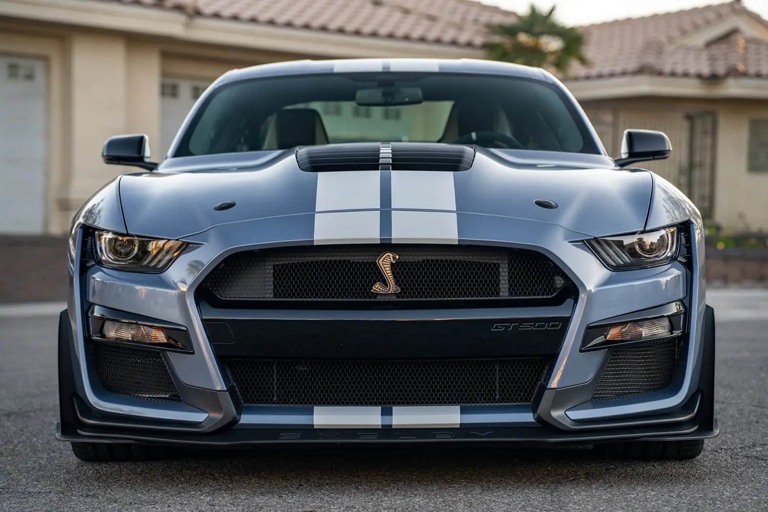 2022 Ford Mustang Shelby GT500