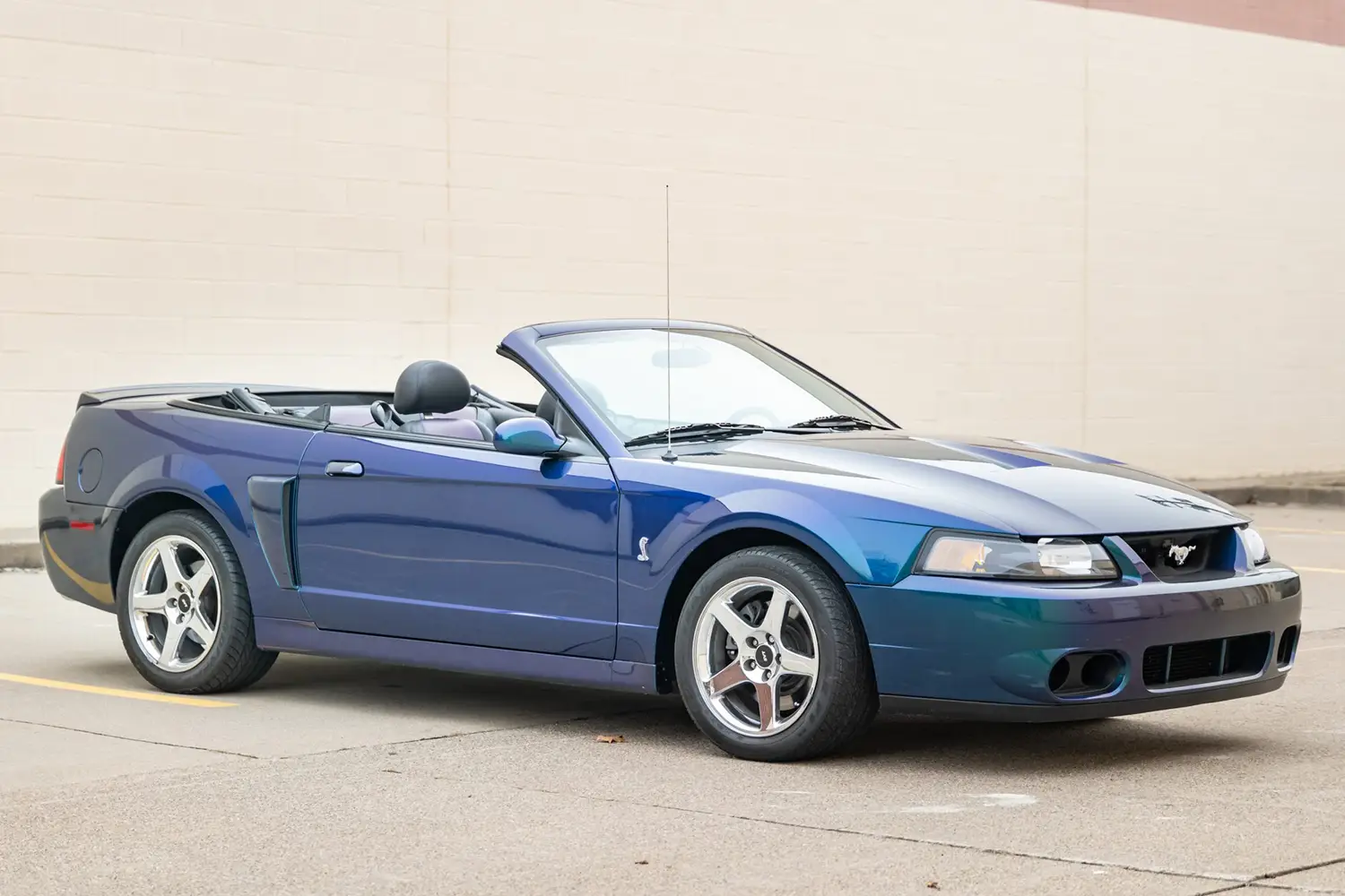 2004 Ford Mustang SVT Cobra convertible