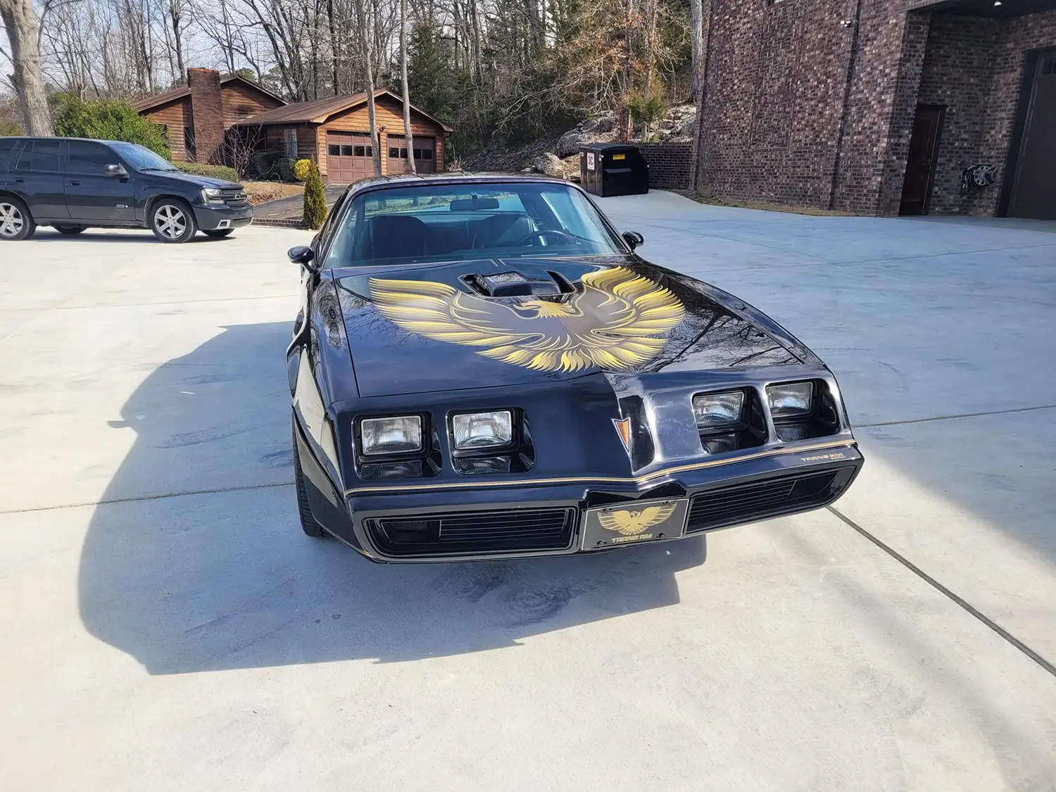 1979 Pontiac Firebird Trans Am 6.2L