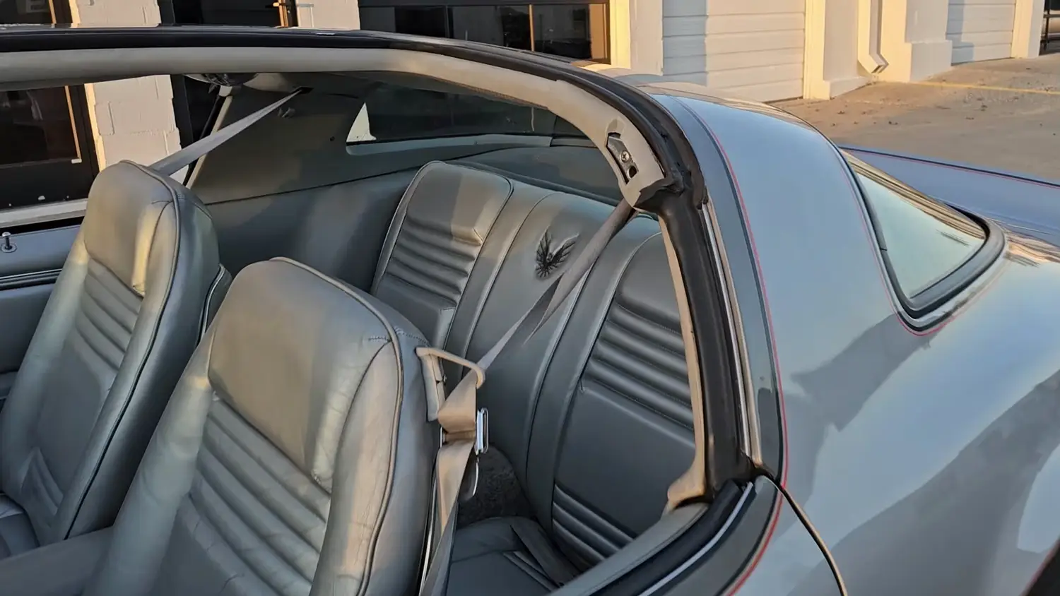 1979 Pontiac Trans Am SE 10th Anniversary