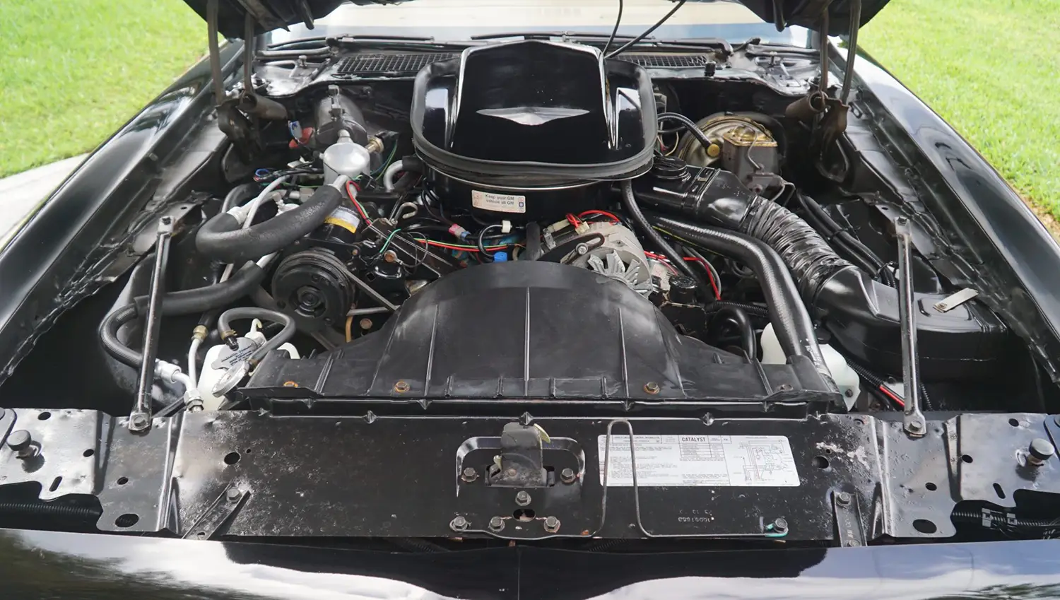 1979 Pontiac Firebird Trans Am Special Edition 1979 Pontiac Firebird Trans Am Special Edition