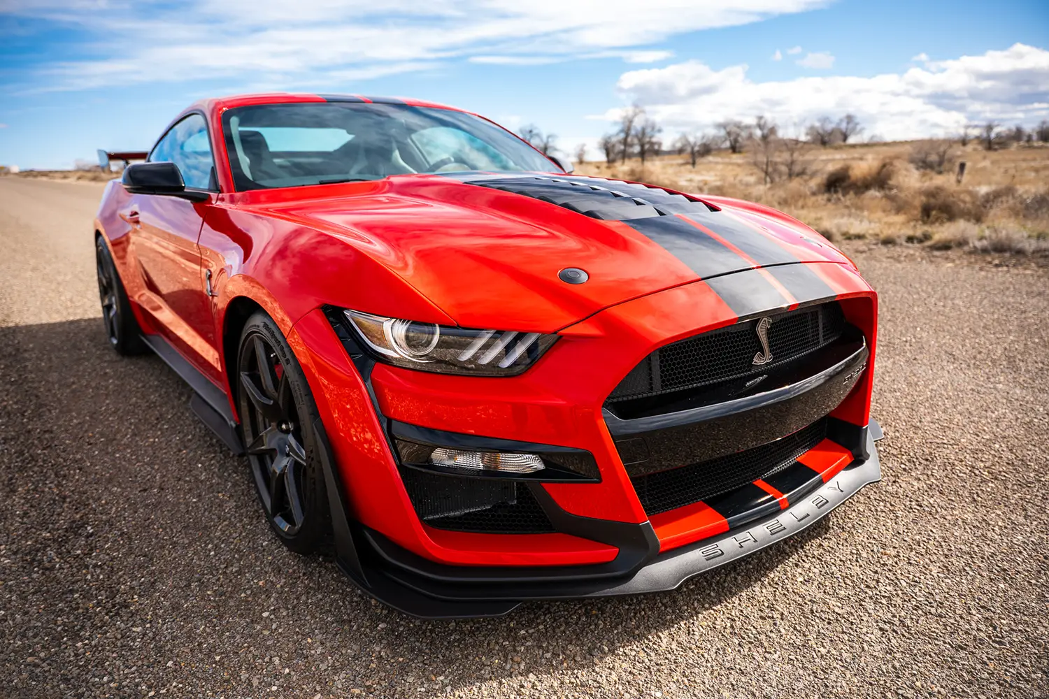 2022 Ford Mustang Shelby GT500