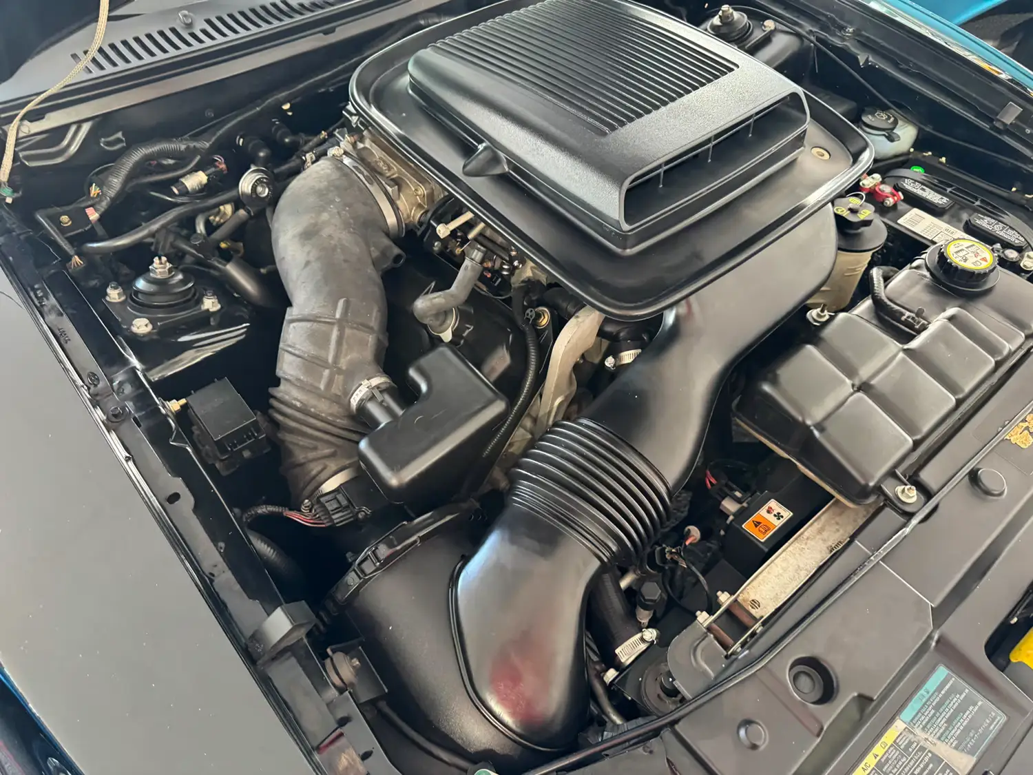 2003 Ford Mustang Mach 1