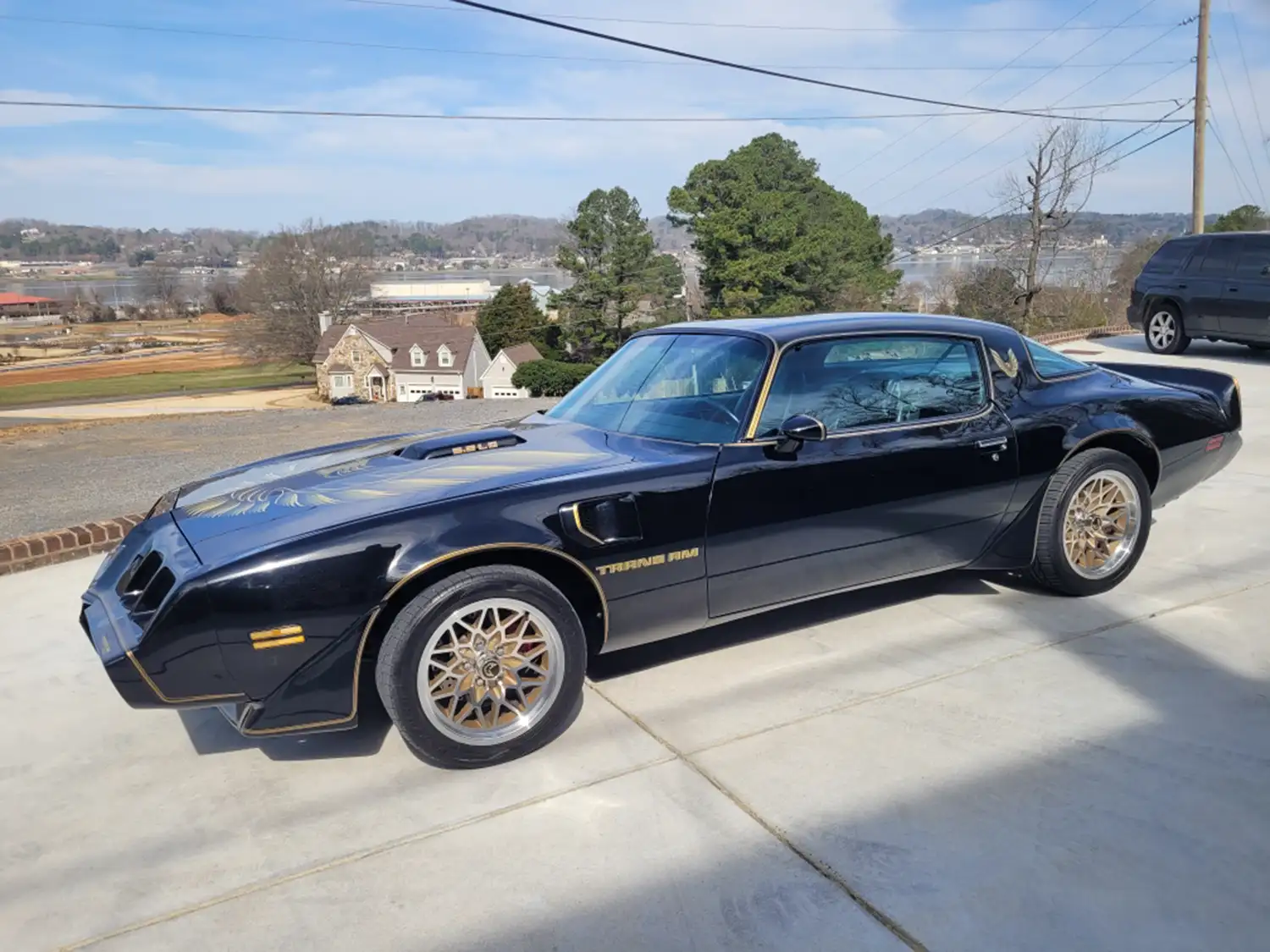 1979 Pontiac Firebird Trans Am 6.2L