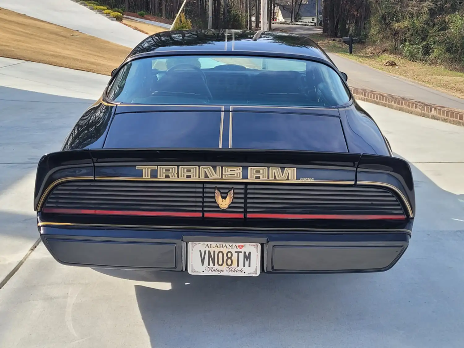 1979 Pontiac Firebird Trans Am 6.2L