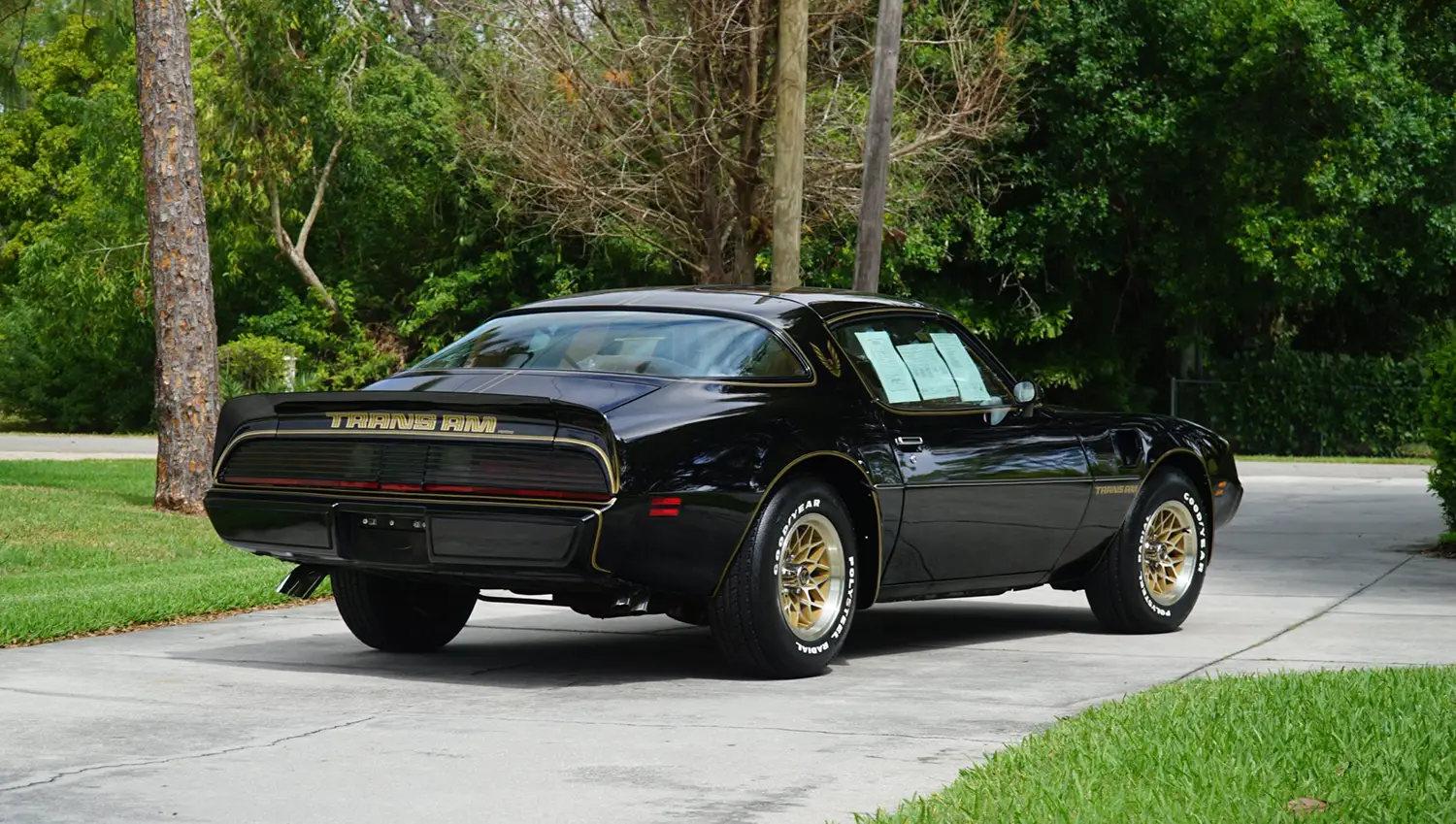 1979 Pontiac Firebird Trans Am Special Edition 1979 Pontiac Firebird Trans Am Special Edition