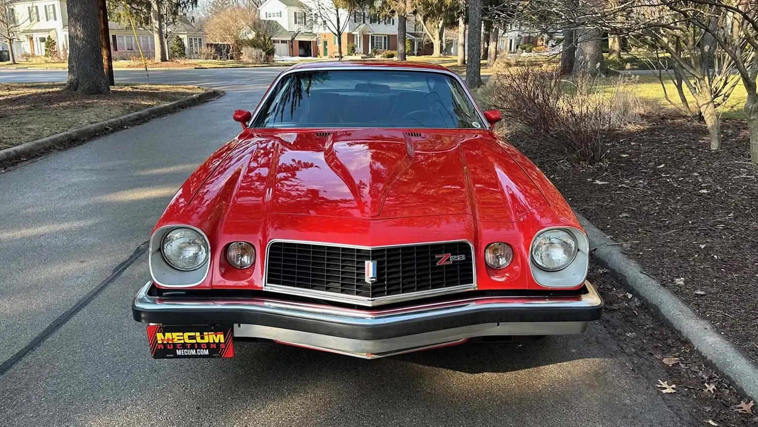 1974 Chevrolet Camaro Type LT