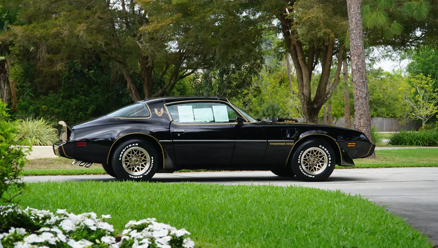 1979 Pontiac Firebird Trans Am Special Edition 1979 Pontiac Firebird Trans Am Special Edition