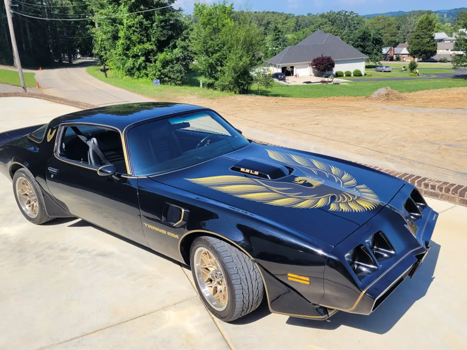 1979 Pontiac Firebird Trans Am 6.2L