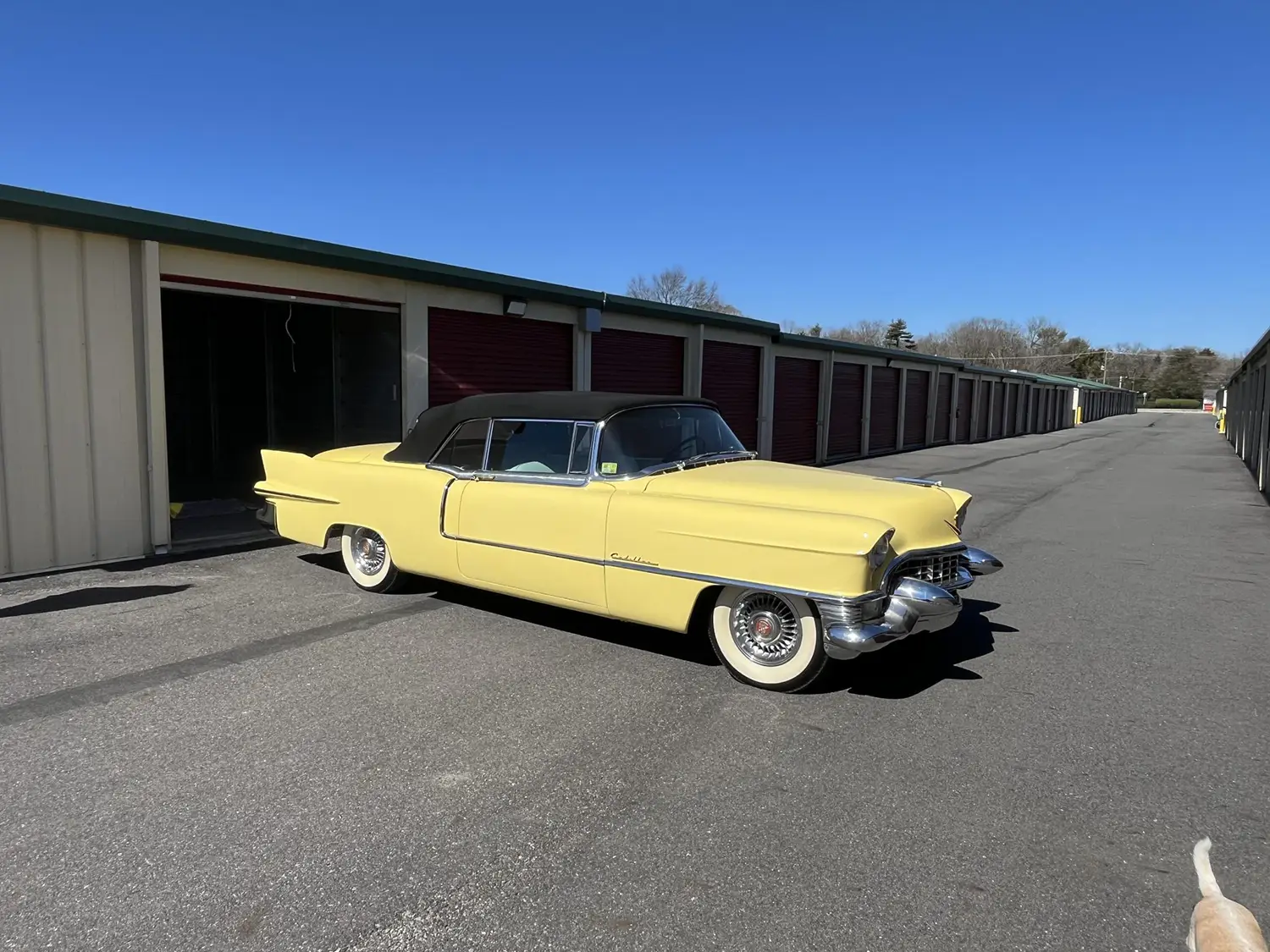 1955 Cadillac Series 62 Eldorado