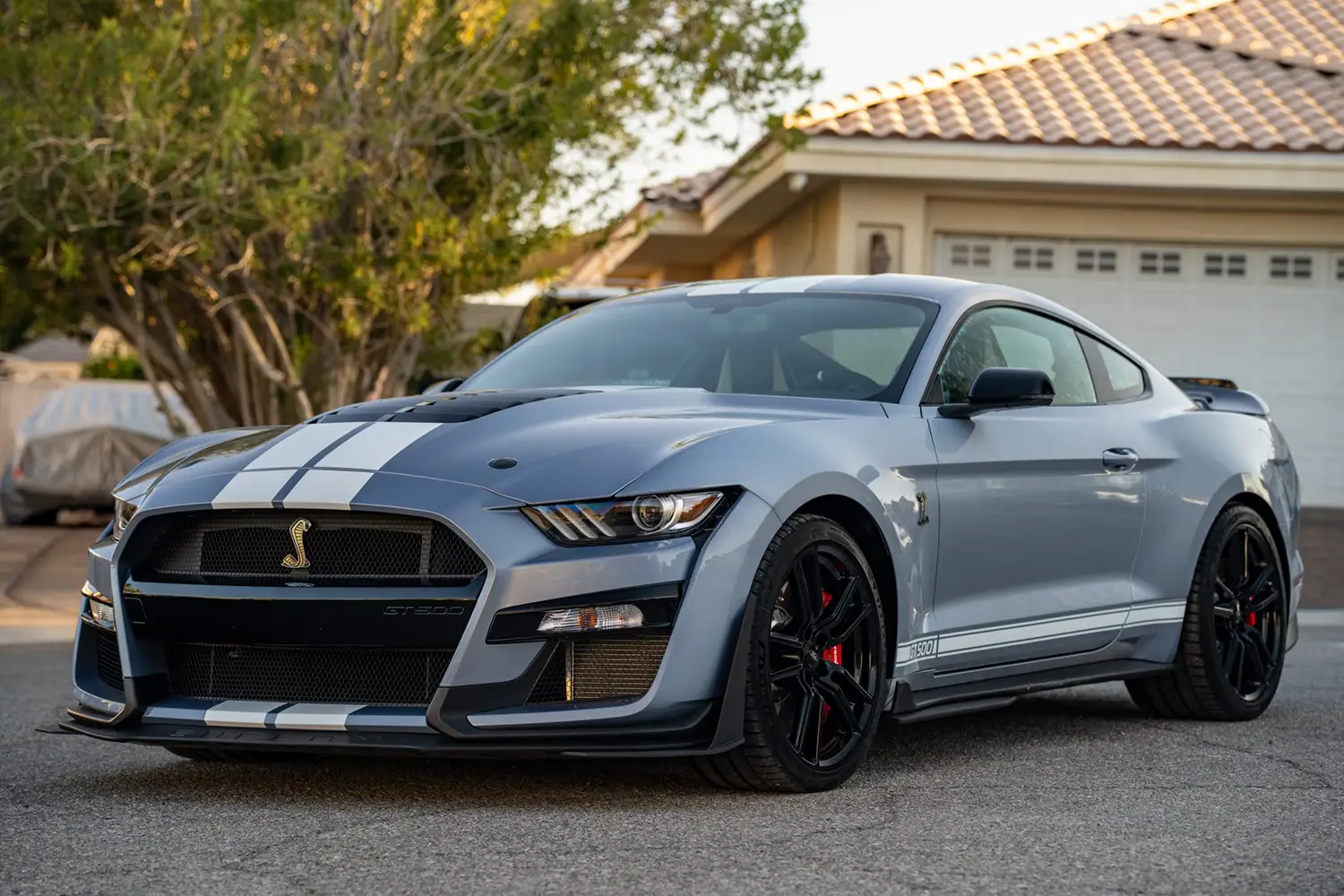 2022 Ford Mustang Shelby GT500