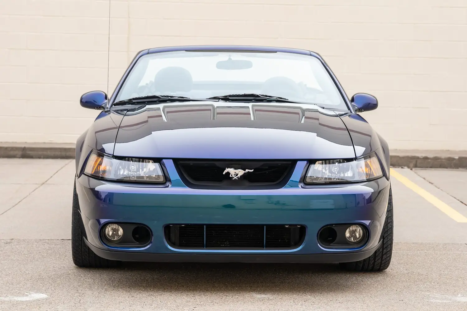 2004 Ford Mustang SVT Cobra convertible