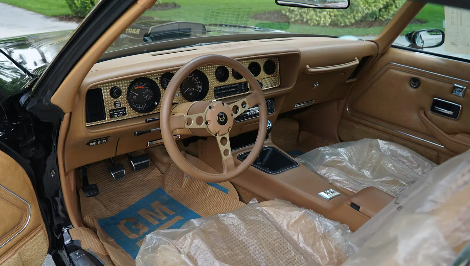 1979 Pontiac Firebird Trans Am Special Edition 1979 Pontiac Firebird Trans Am Special Edition