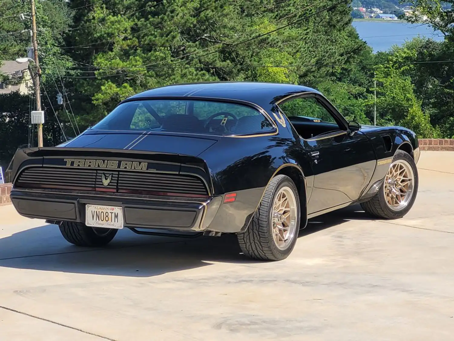 1979 Pontiac Firebird Trans Am 6.2L