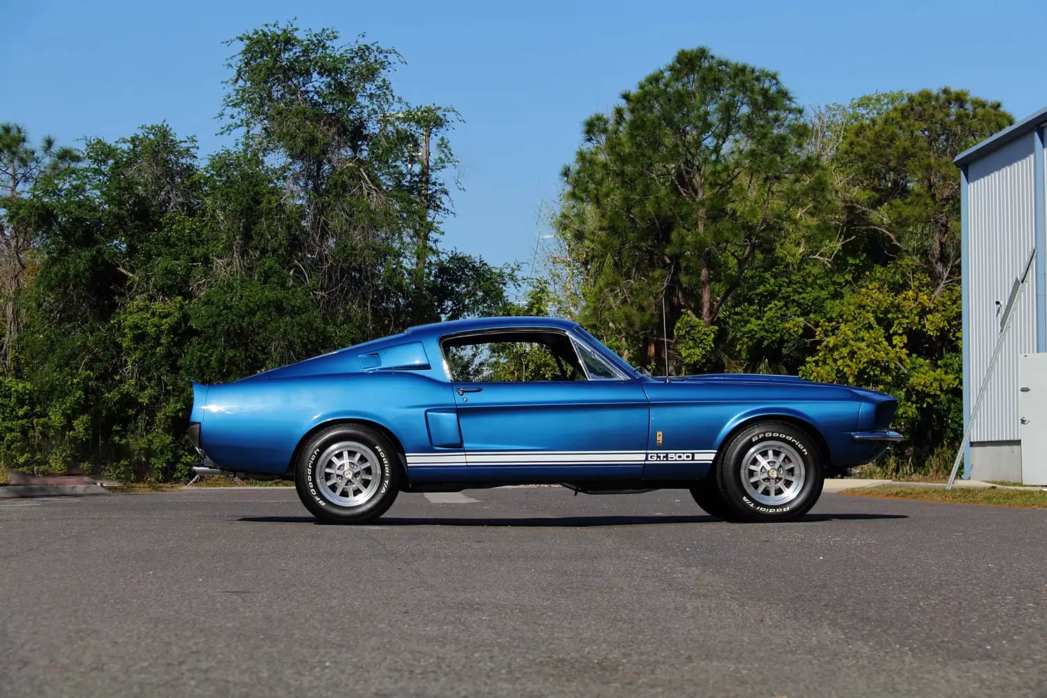 1967 Shelby GT500 Fastback