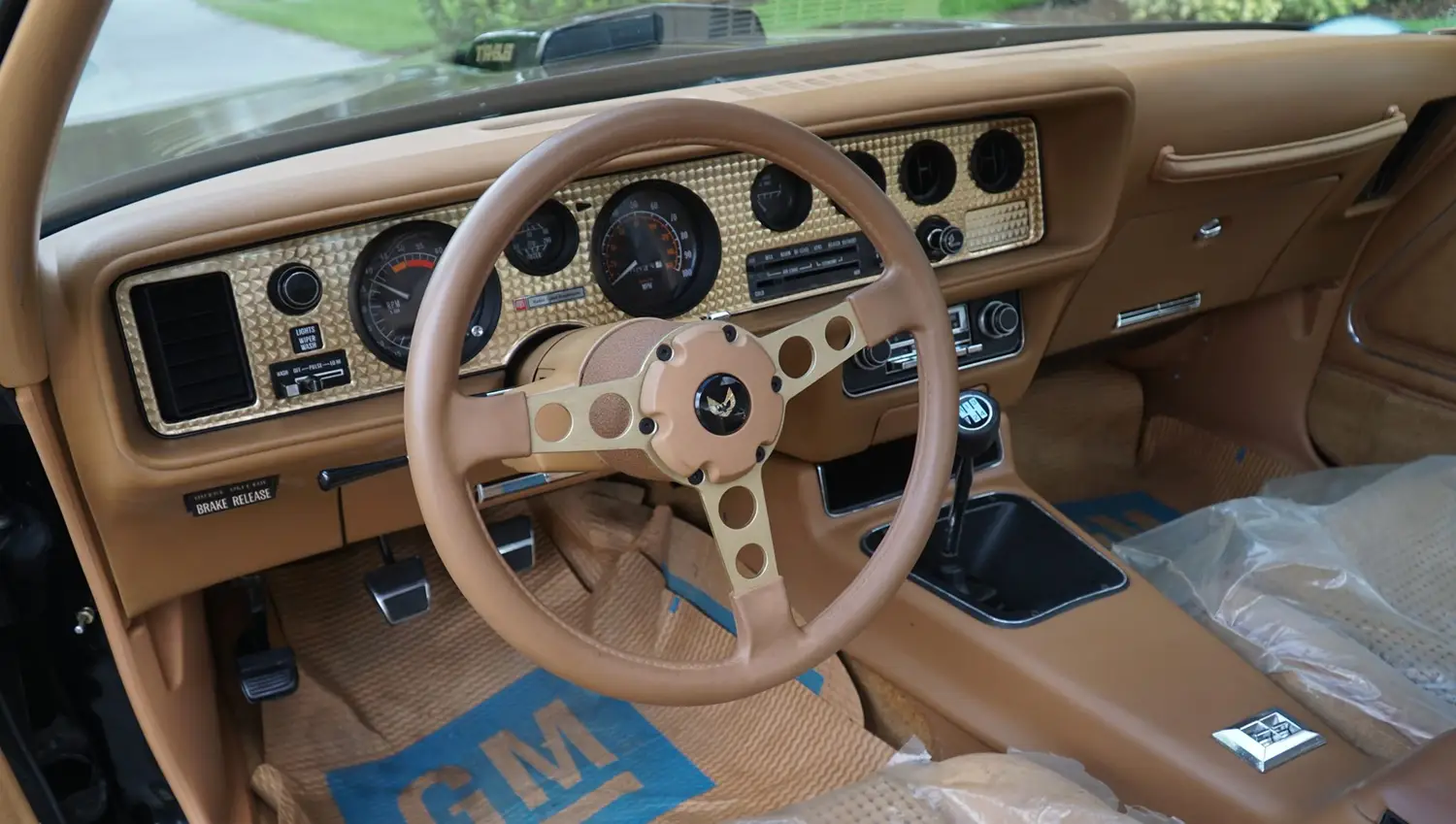 1979 Pontiac Firebird Trans Am Special Edition 1979 Pontiac Firebird Trans Am Special Edition