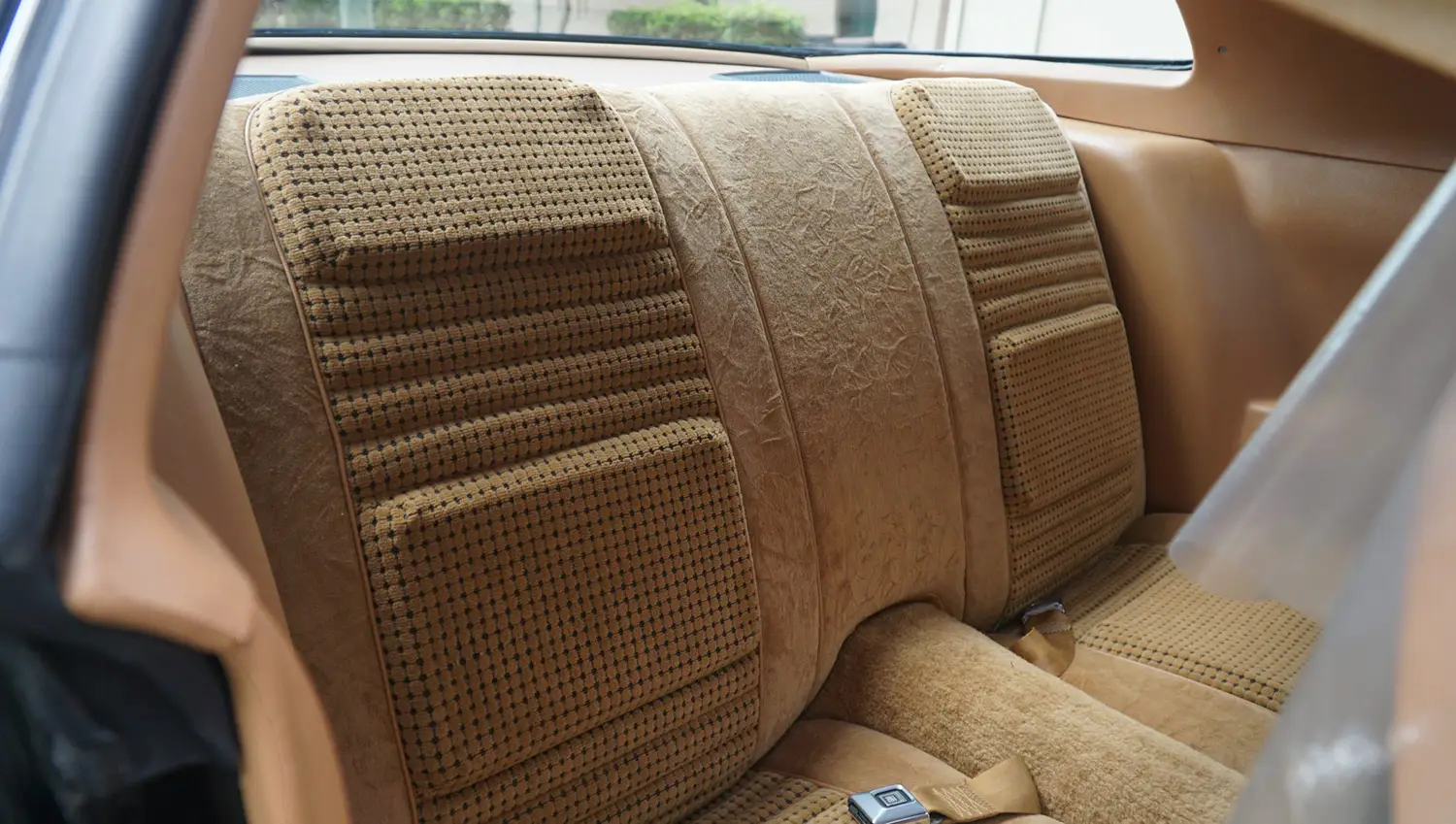 1979 Pontiac Firebird Trans Am Special Edition 1979 Pontiac Firebird Trans Am Special Edition