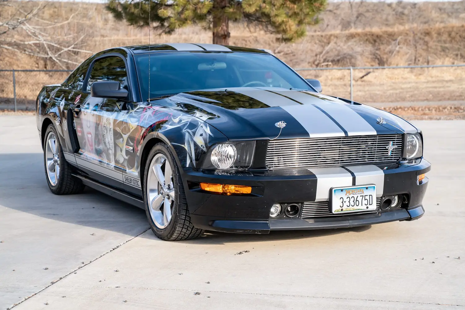 2007 Ford Mustang Shelby GT 2007 Ford Mustang Shelby GT