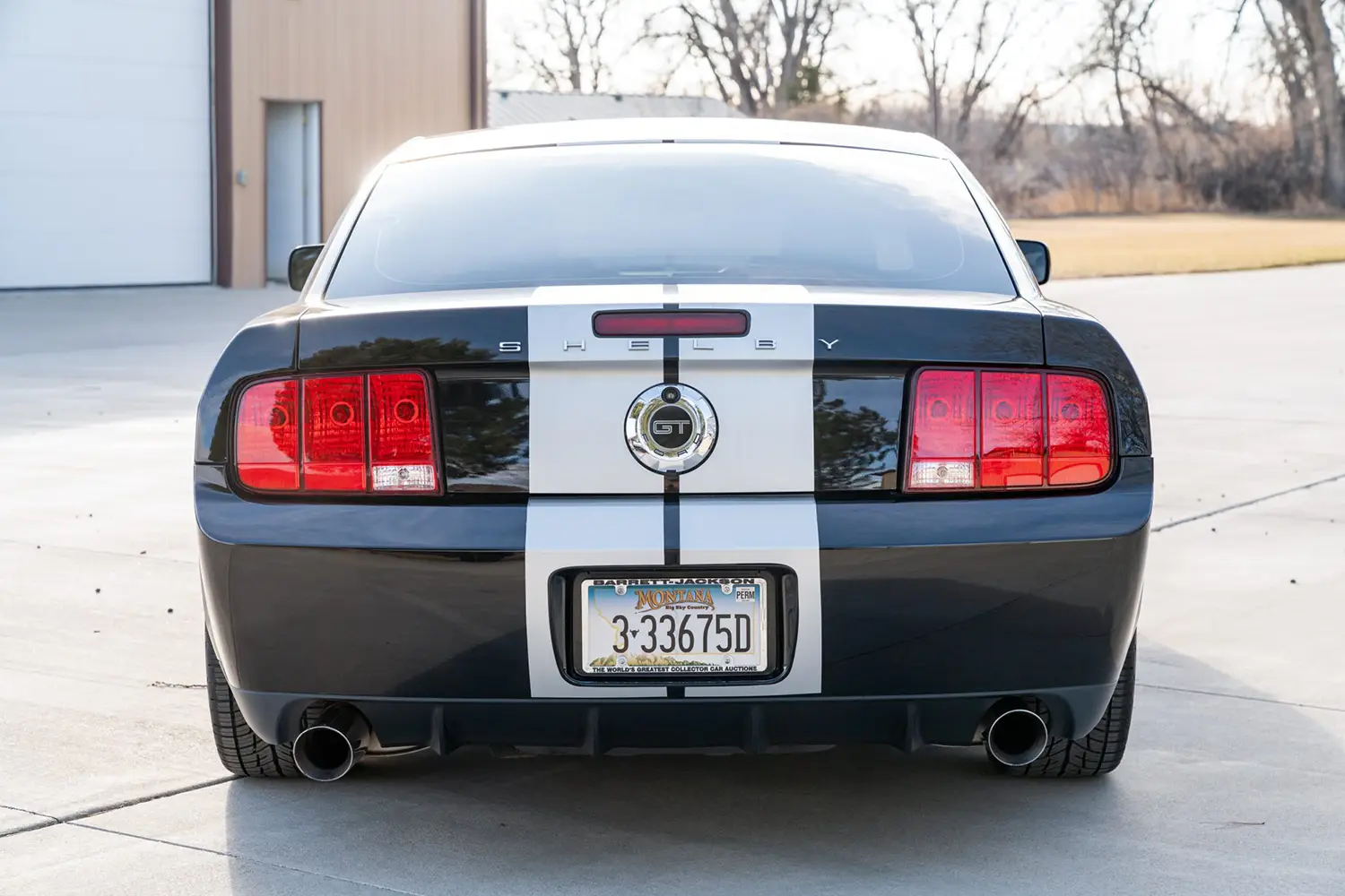 2007 Ford Mustang Shelby GT 2007 Ford Mustang Shelby GT