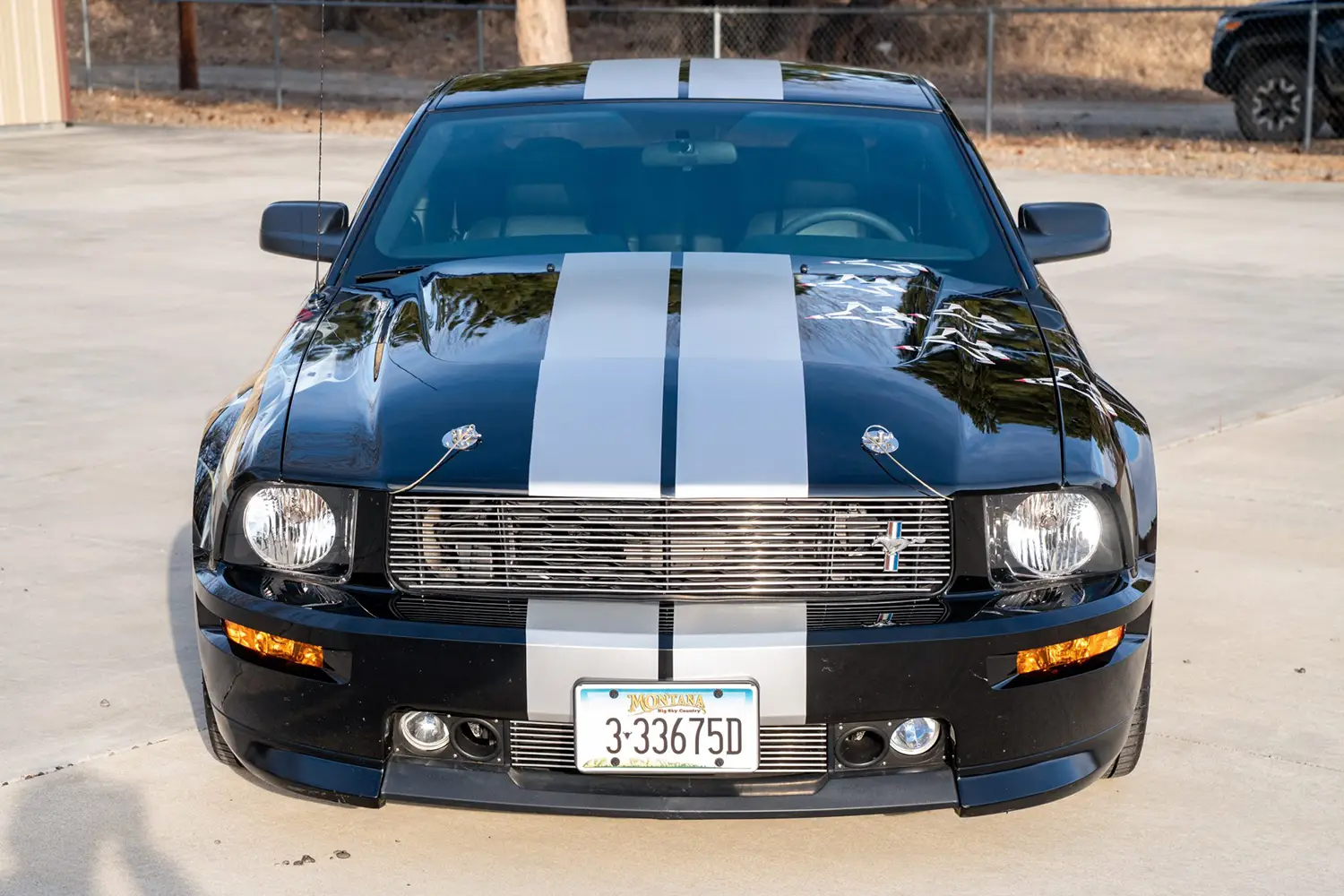 2007 Ford Mustang Shelby GT 2007 Ford Mustang Shelby GT