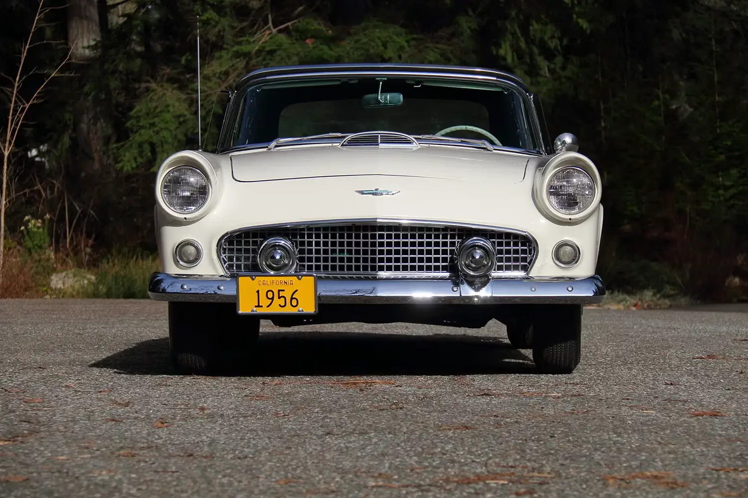 1956 Ford Thunderbird Convertible