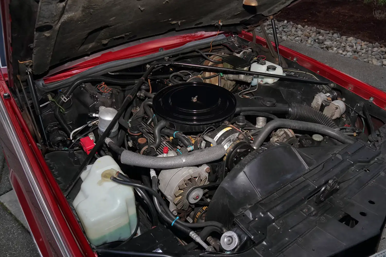 1984 Cadillac Eldorado Biarritz Convertible