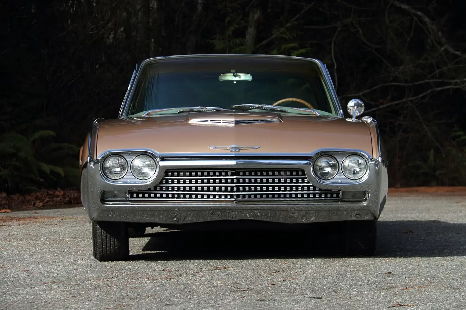 1962 Ford Thunderbird